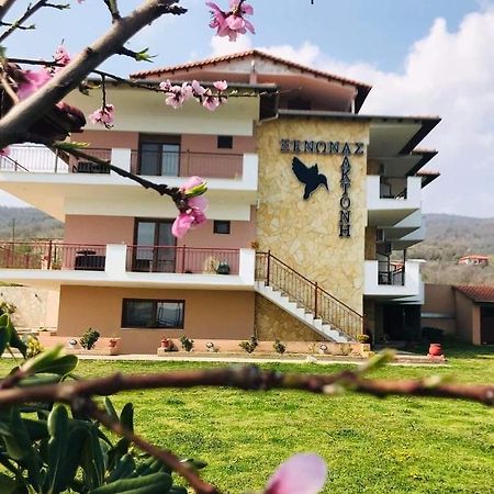 Ξενώνας Αλκυόνη Λιθότοπος Εξωτερικό φωτογραφία